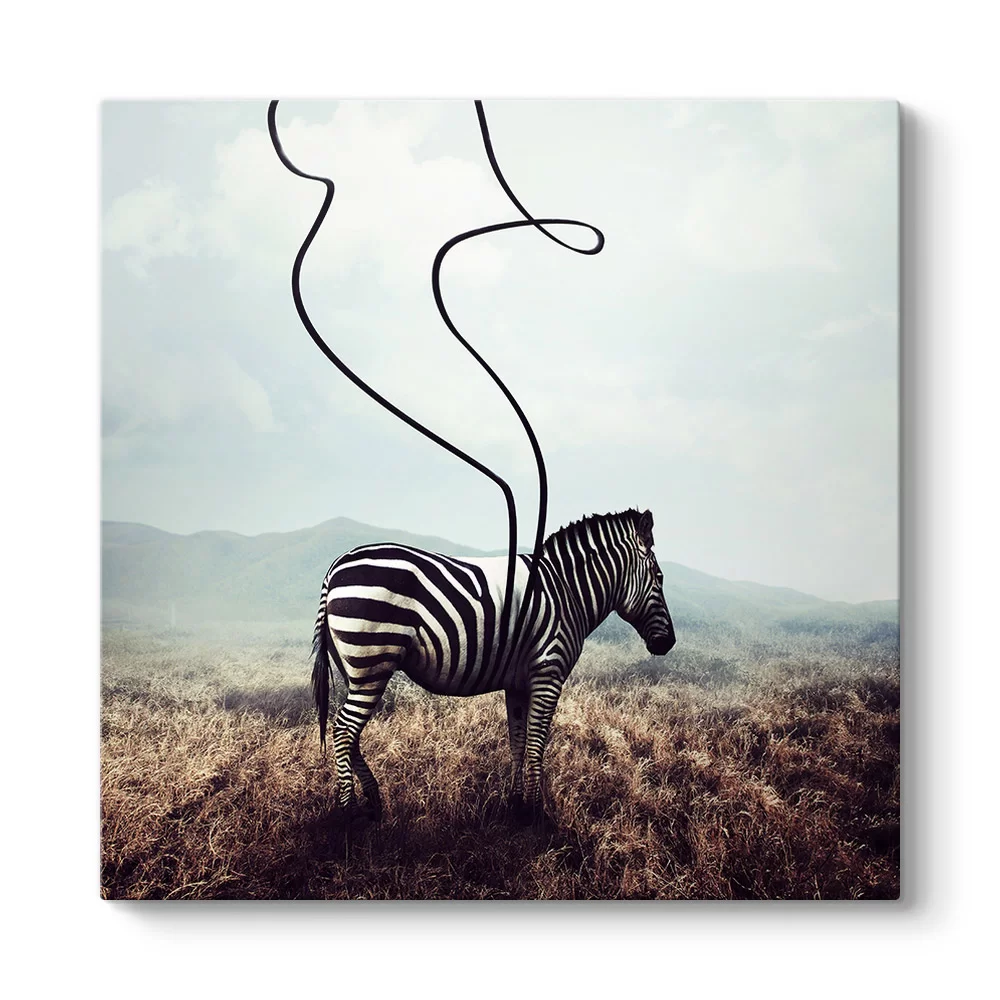 Sürreal Zebra Kanvas Tablo - Model 3